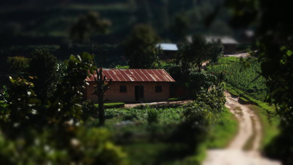 Kabale Amasiko Homestay Lake Bunyonyi מראה חיצוני תמונה
